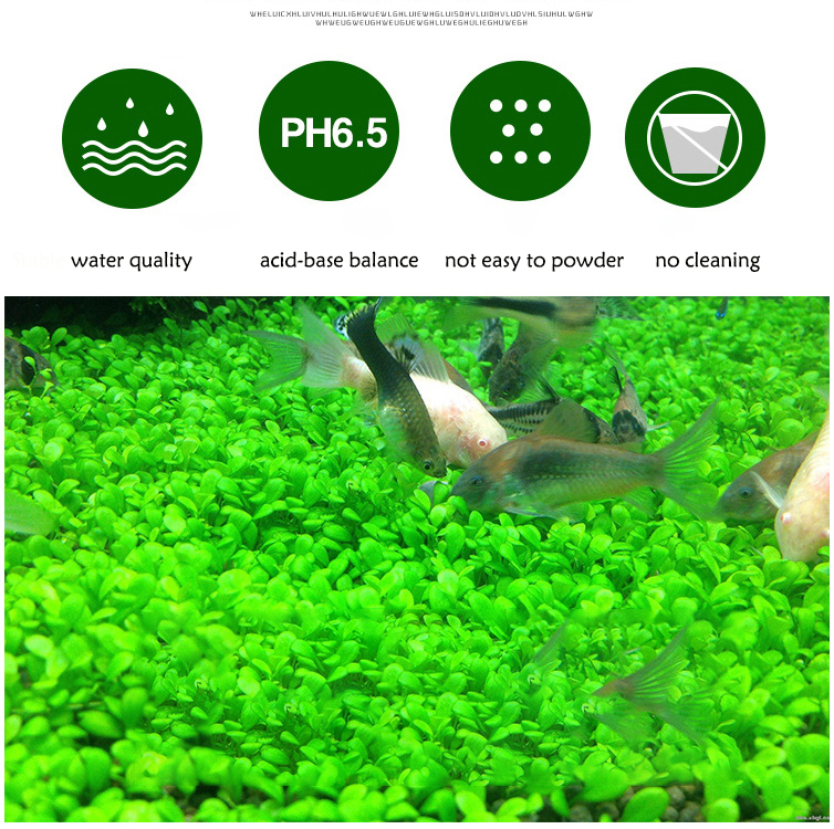 Aquarium Plant Seeds Soil Fish - Aquarium Plant Growth reseña y precio