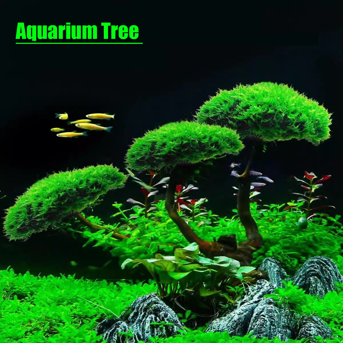 Aquarium Decoration Plant Moss - Planted Aquarium Without Fish reseña y precio