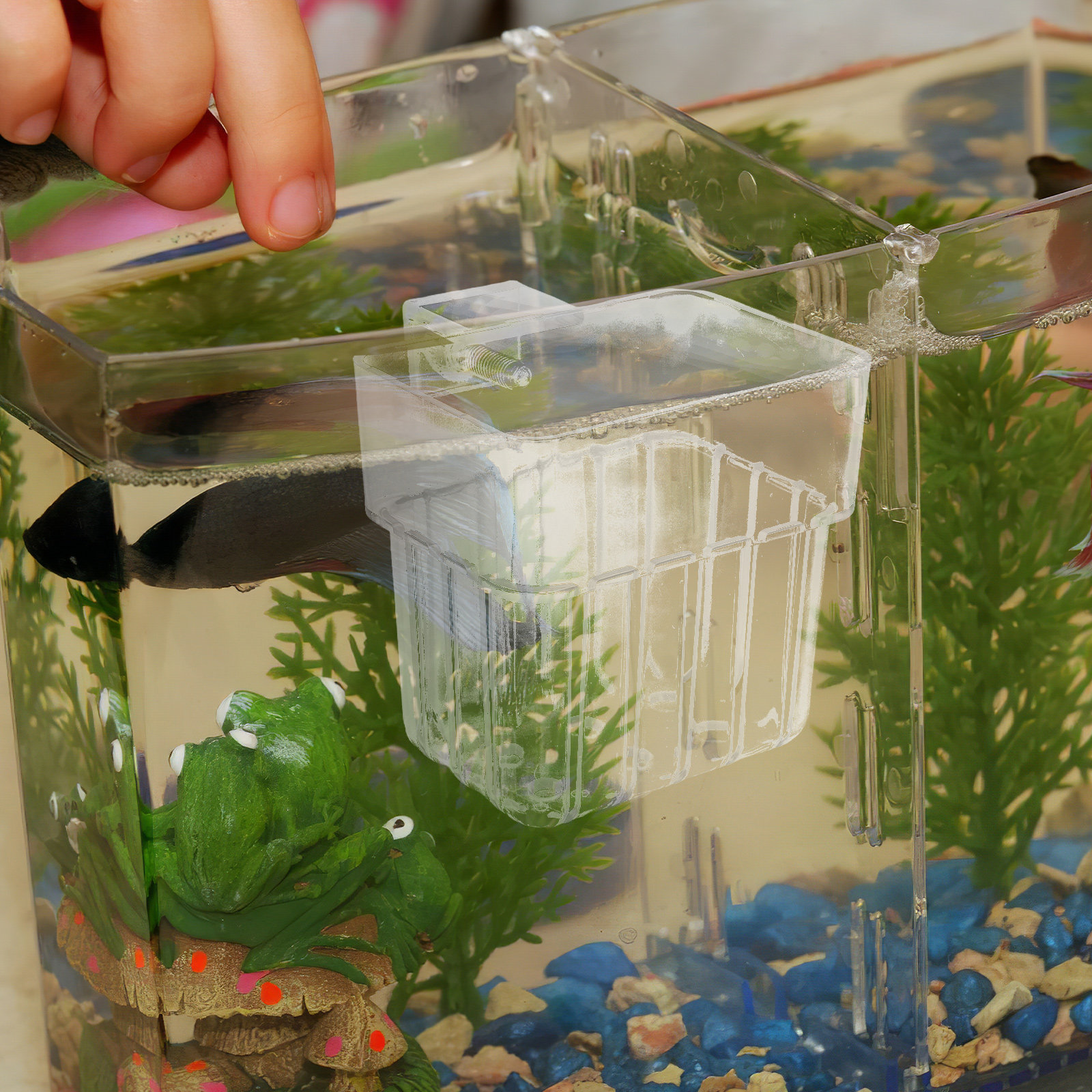 8Pcs Aquarium Planter Cups: Cl - Aquarium Planted Tank Setup reseña y precio
