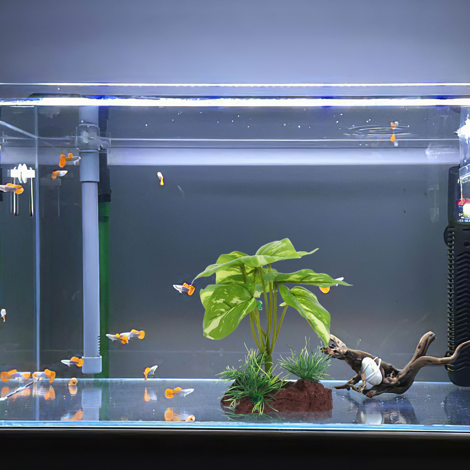 Premium Artificial Aquarium Pl - Aquarium Planted Tank Setup reseña y precio