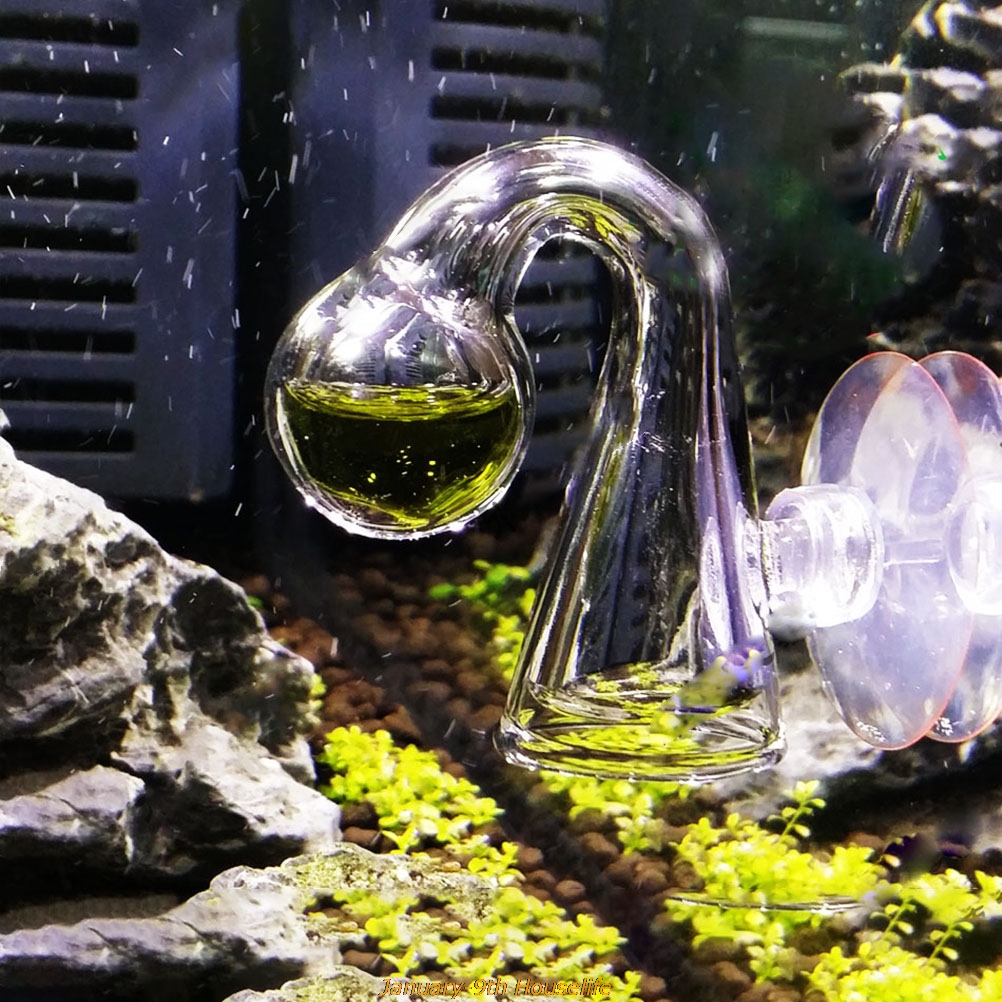 Fish Tank CO2 Diffuse Glass Dr - Planted Aquarium Co2 reseña y precio