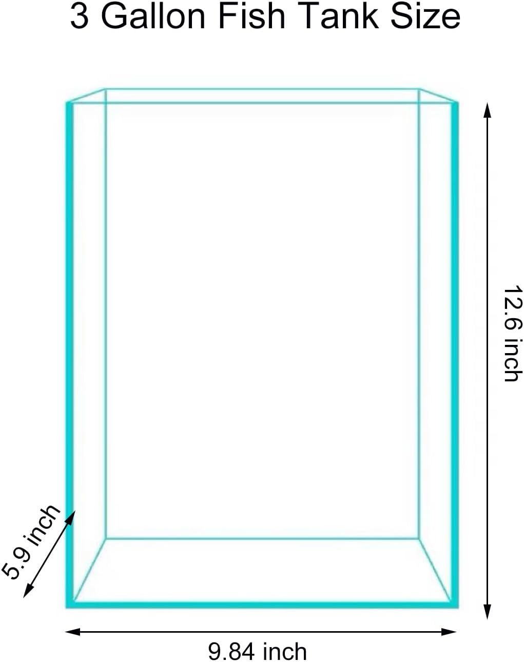 3 Gallon Glass Fish Tank, Easy - Aquarium Plant Images reseña y precio