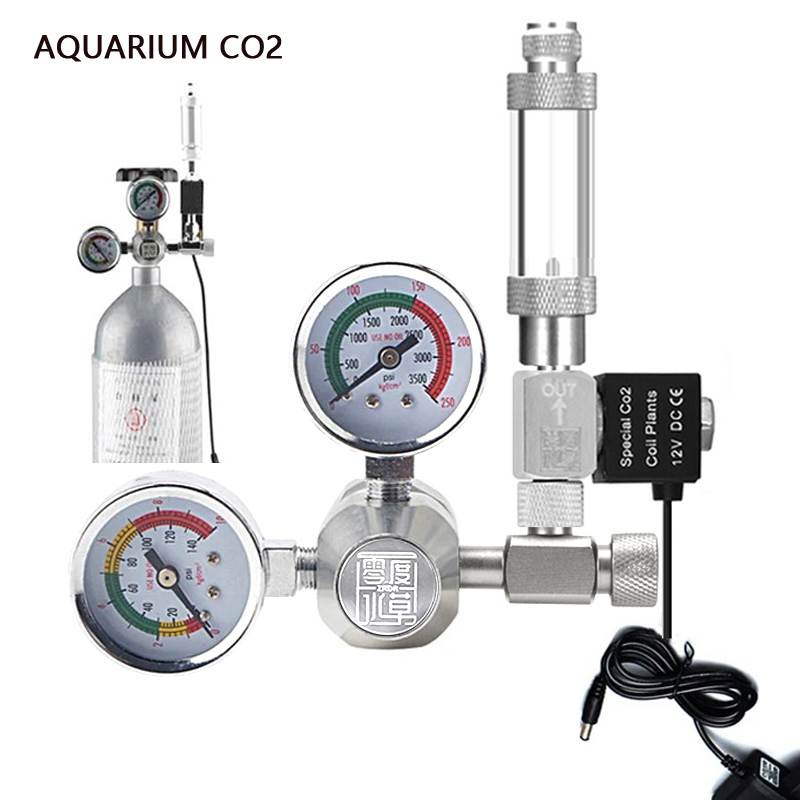AC100-240V Aquarium CO2 Regula - Planted Aquarium Co2 reseña y precio