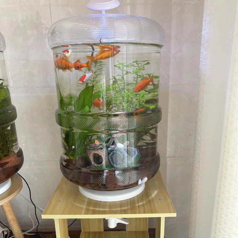 Instant Setup Home Fish Tank 3 - Aquarium Planted Tank Setup reseña y precio