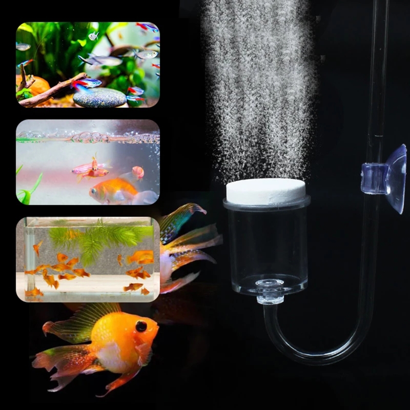 4pcs Set DIY CO2 Diffuser For  - Planted Aquarium Co2 reseña y precio
