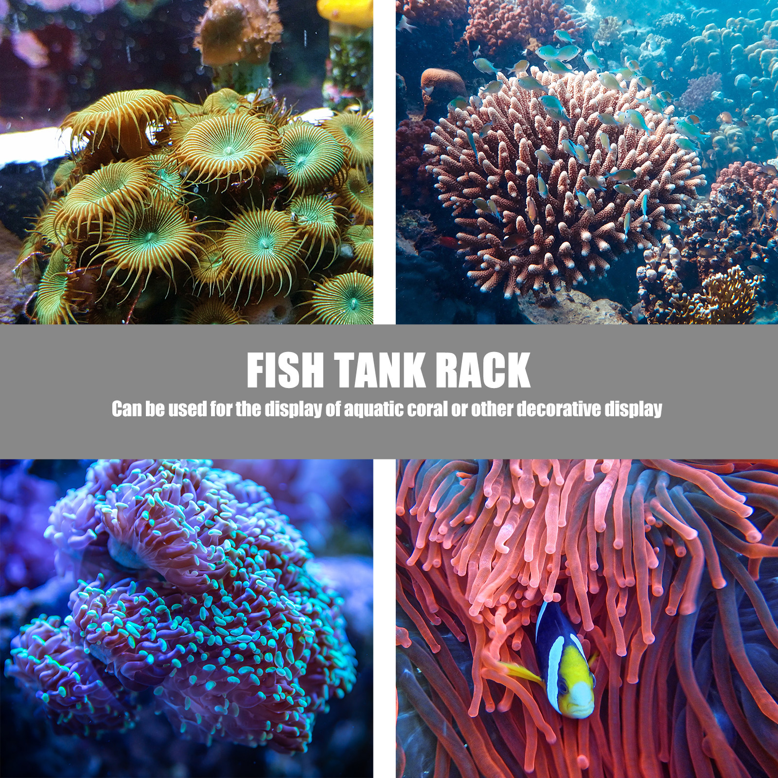 1Pcs Coral Base Stylish Strong - Aquarium Planted Tank Setup reseña y precio
