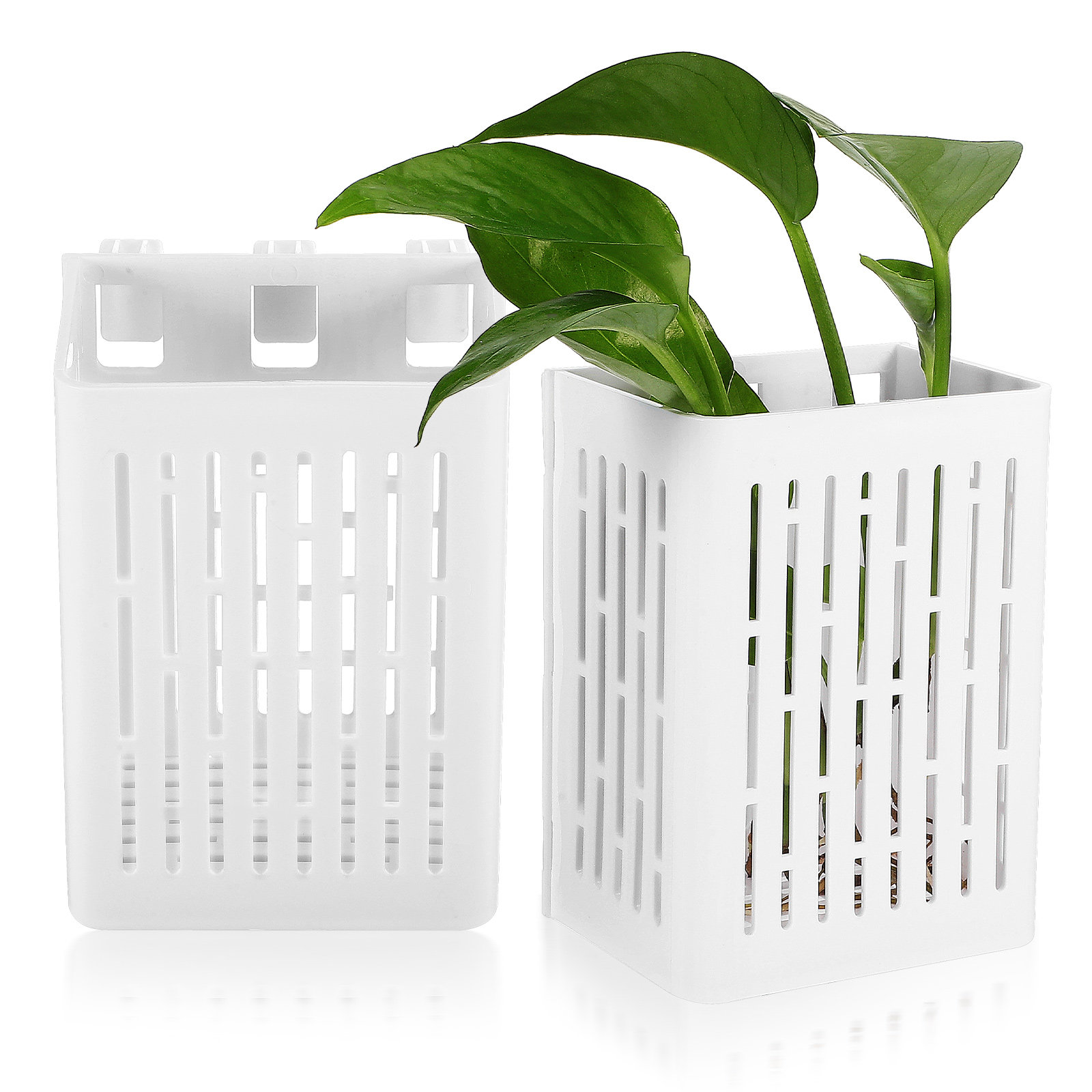 2Pcs Hanging Aquarium Planter  - Aquarium Planted Tank Setup reseña y precio