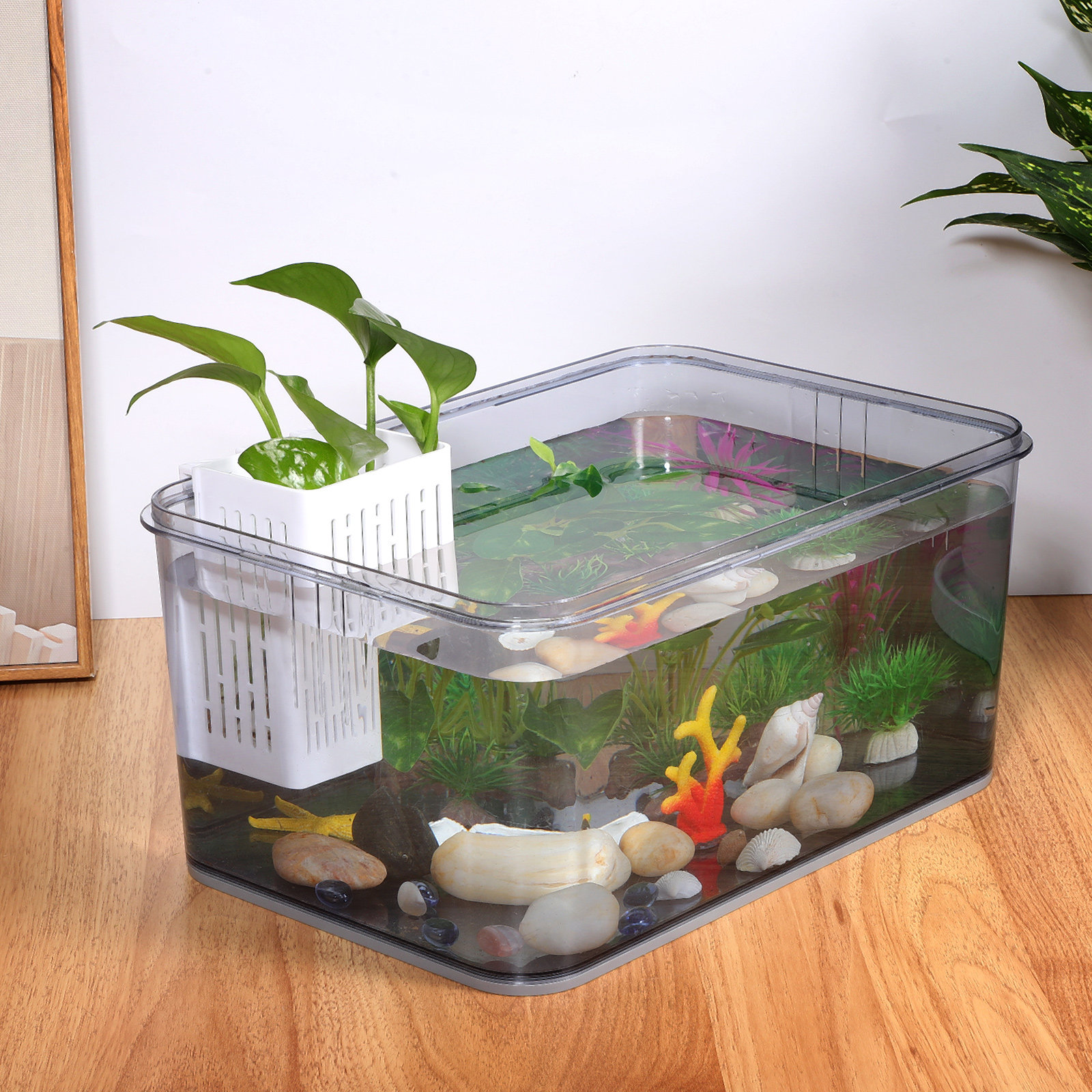 2Pcs Hanging Aquarium Planter  - Aquarium Planted Tank Setup reseña y precio