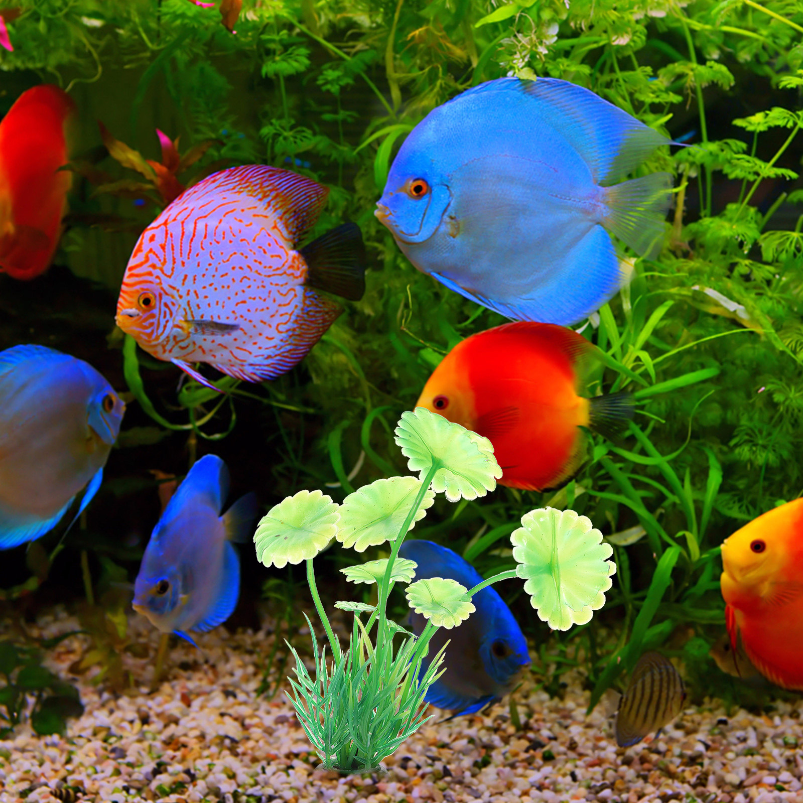 10Pcs Artificial Aquarium Gras - Aquarium Planted Tank Setup reseña y precio
